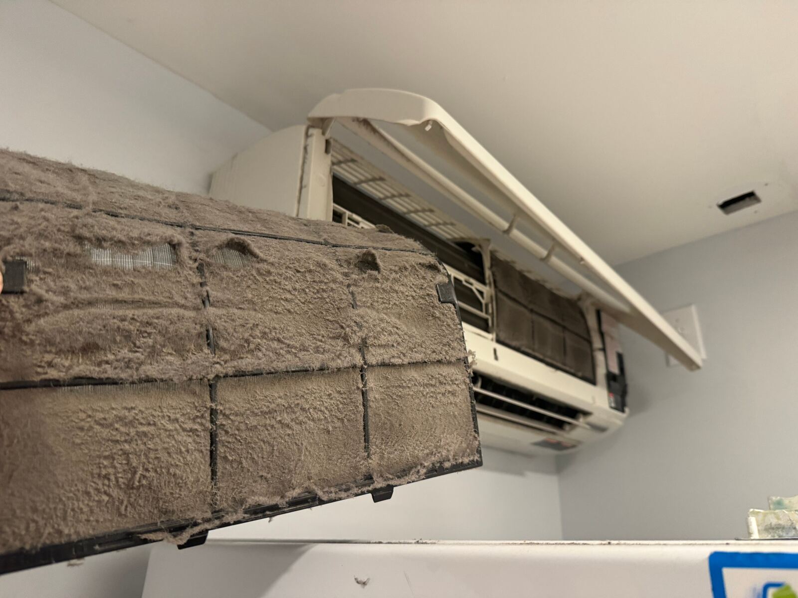 Filthy mini split filter pulled from a Brooklyn ductless head — what one season unmaintained looks like